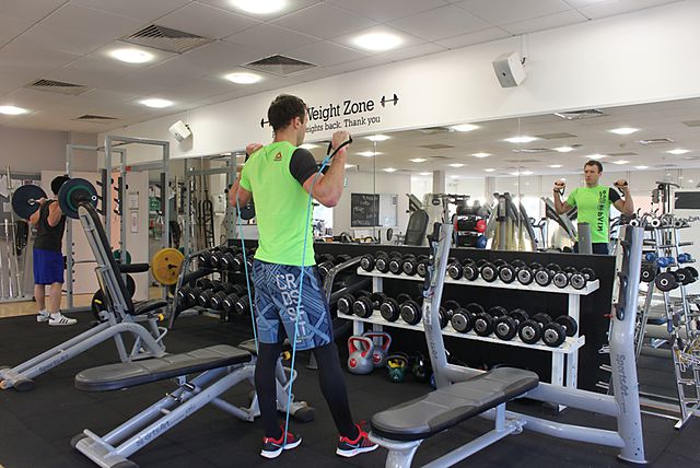 Photo of Shoulder Press - With Bands exercise