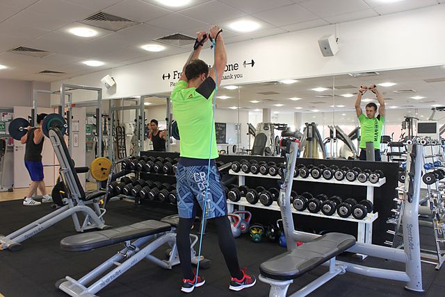 Photo of Shoulder Press - With Bands exercise