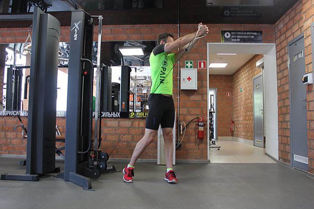 Photo of Standing Cable Lift exercise
