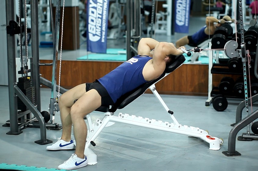 Seated Triceps Extension Machine Exercise Demonstration