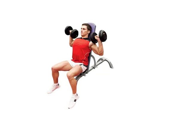 Exercise Dumbbell Shoulder Press