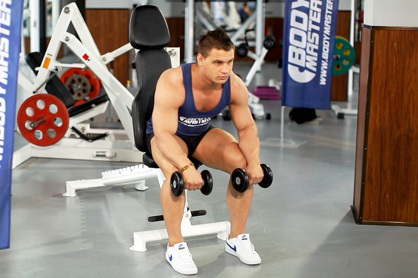 Exercise Seated Dumbbell Palms-Down Wrist Curl 