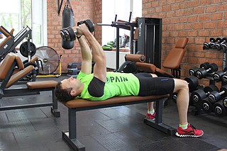 Lying Dumbbell Tricep Extension 