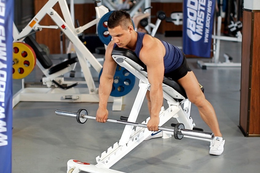 Incline Bench Dumbbell Row