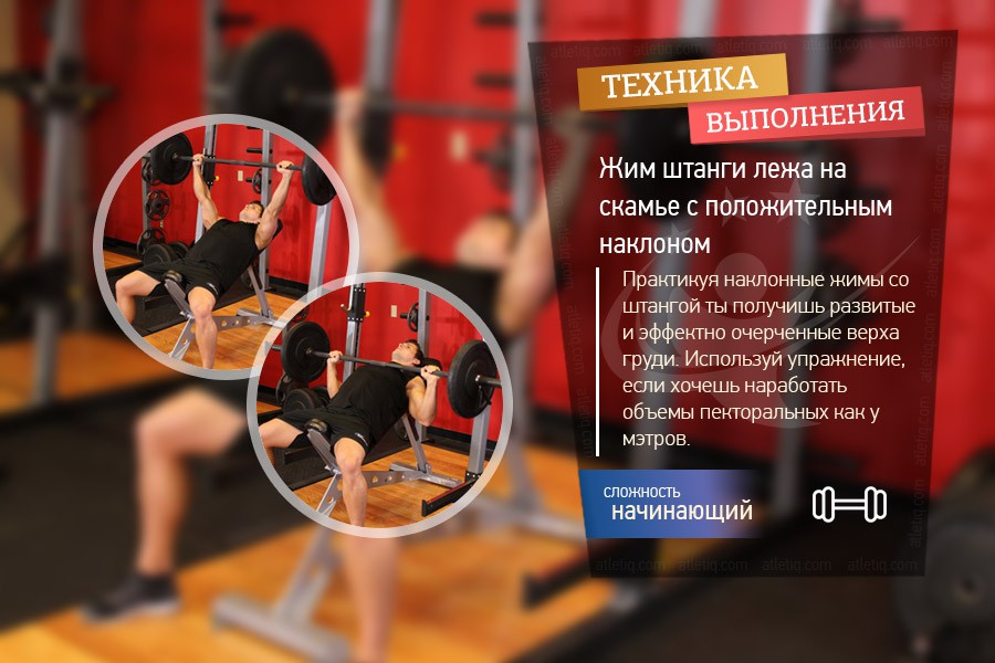 Упражнение Жим штанги лежа на скамье с положительным наклоном