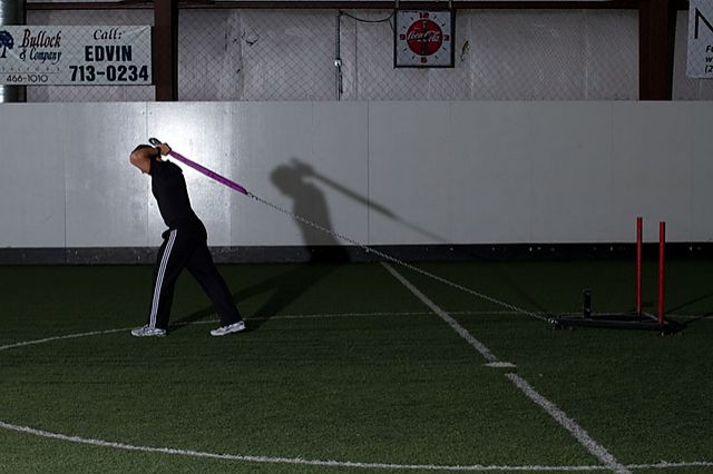 Photo of Sled Overhead Triceps Extension exercise