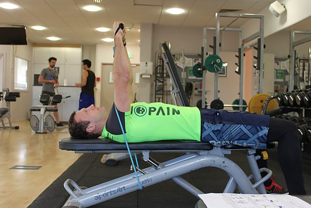 Photo of Bench Press - With Bands exercise