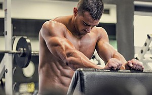 BASIS: your bodybuilding master plan