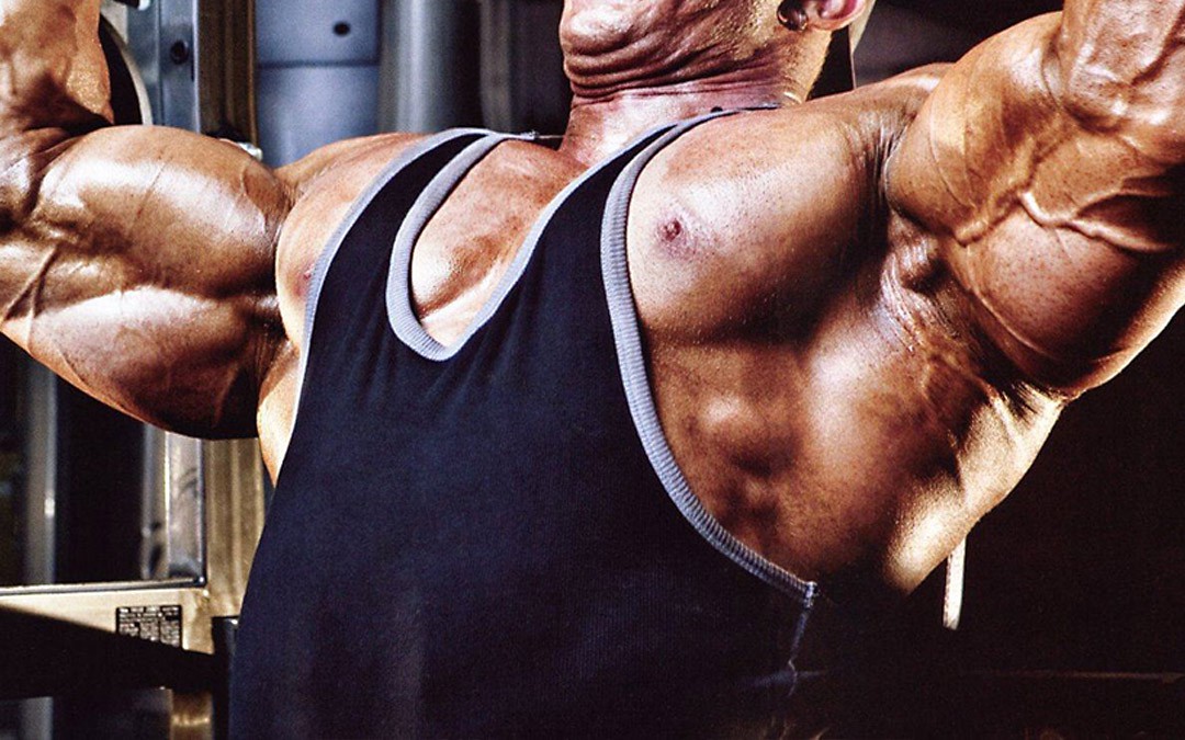 Mass Gain » FullActive Mass Gain » FullActive