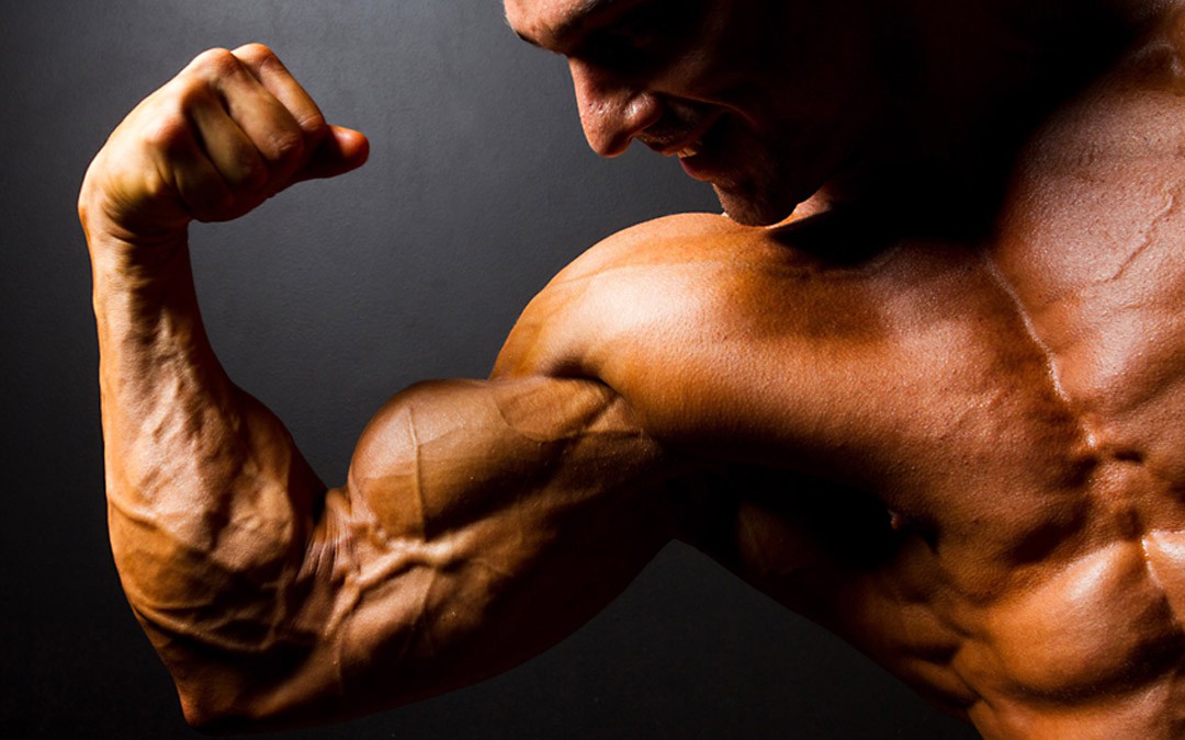Mass Gain » The program for ectomorphs Mass Gain » The program for ectomorphs