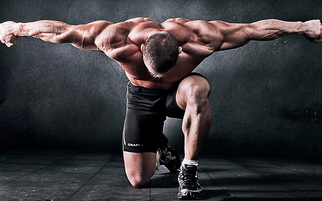Gain Strength » HERACLE Gain Strength » HERACLE