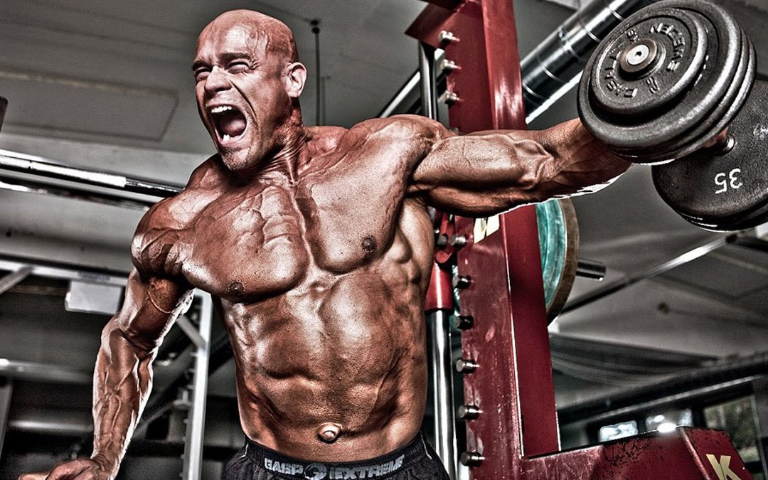 Mass Gain » 2x3 Forsage Mass Gain » 2x3 Forsage