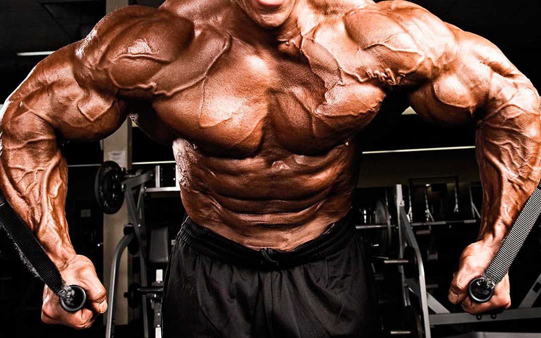 Mass Gain » Chest Active Mass Gain » Chest Active