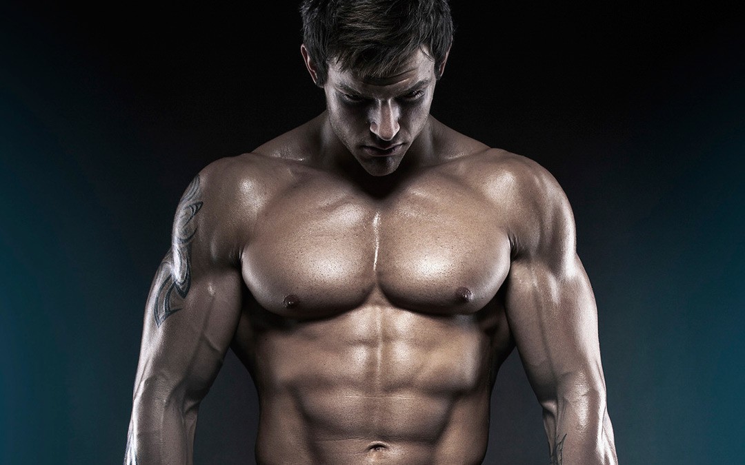Mass Gain » Scientific split for mass gain Mass Gain » Scientific split for mass gain