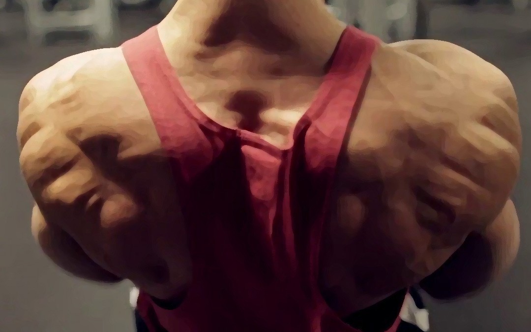 Mass Gain » Shoulders and Back (mass + strength) Mass Gain » Shoulders and Back (mass + strength)