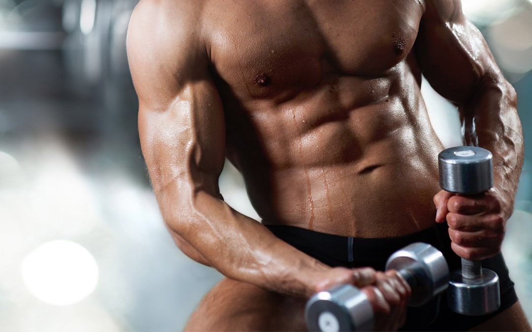 Maintenance » 2 workouts per week (maintaining physique) Maintenance » 2 workouts per week (maintaining physique)