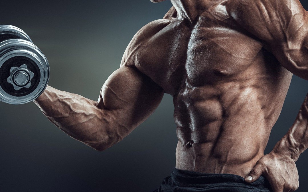 Mass Gain » Mass gain program with dumbbells Mass Gain » Mass gain program with dumbbells