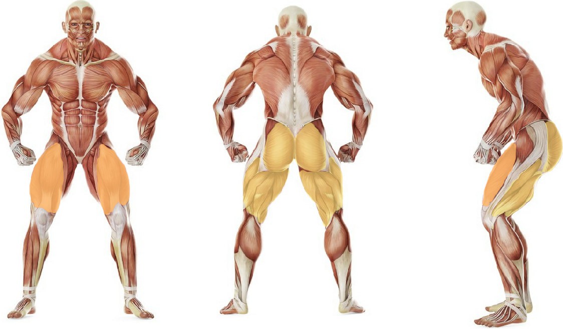 What muscles work in the exercise 3D Lunge