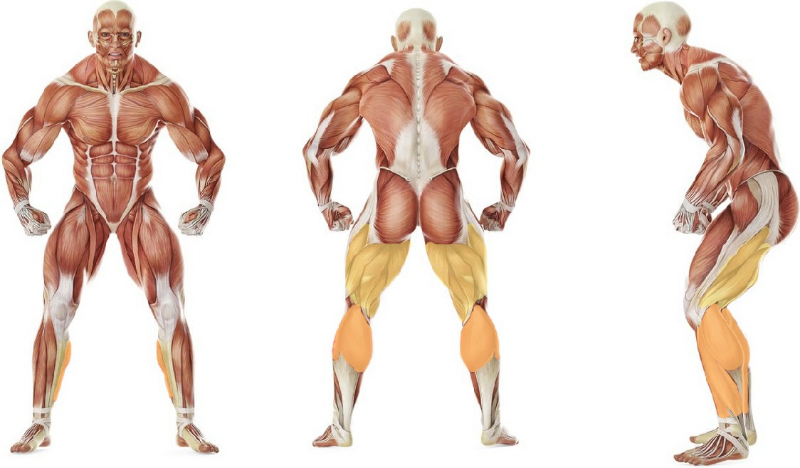 What muscles work in the exercise Butt Kick