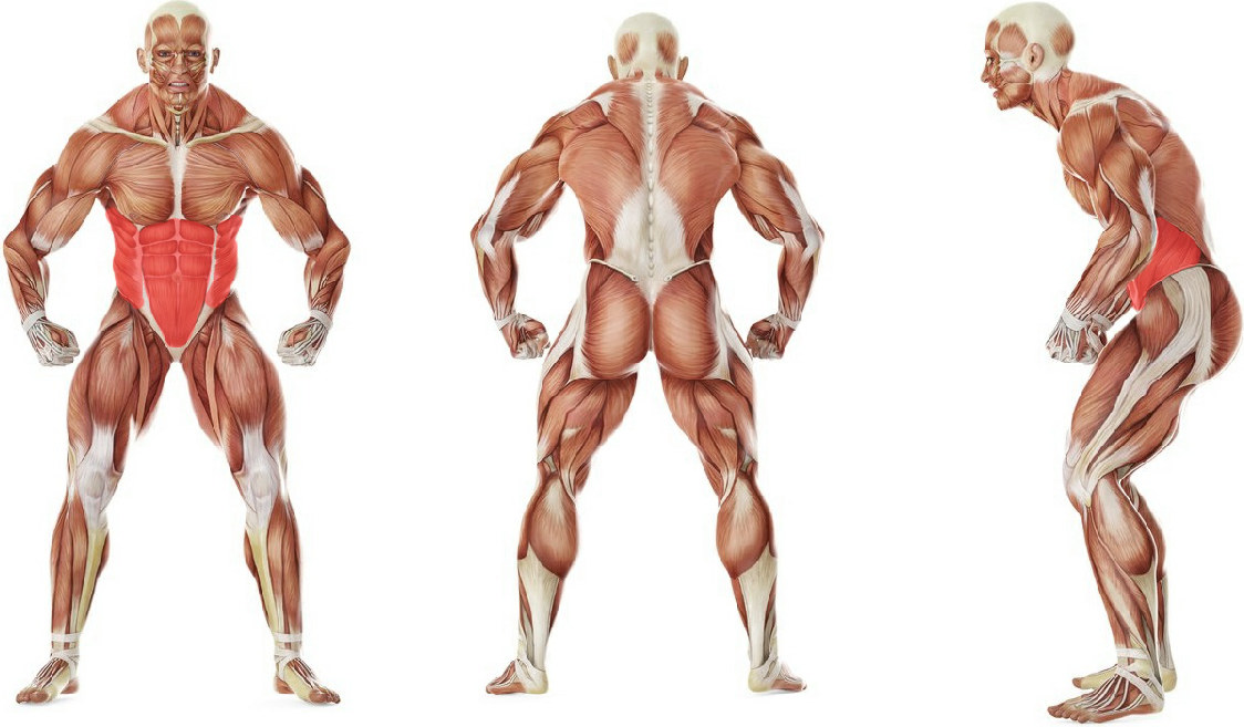 What muscles work in the exercise Star