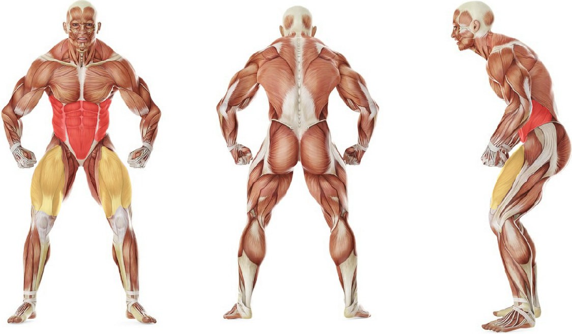 What muscles work in the exercise Twisting to one leg