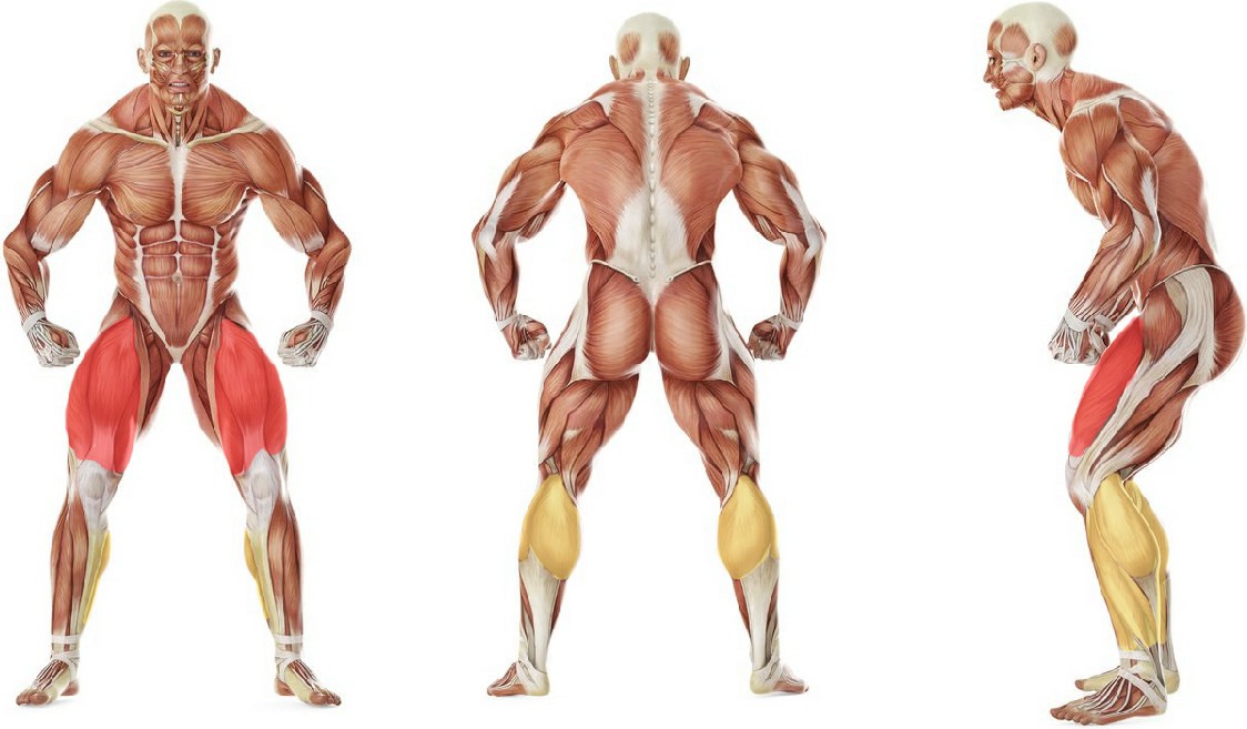 Какие мышцы работают в упражнении Прыжки на одной ноге вокруг своей оси